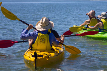Canoe the Coorong on a kayak tour from Goolwa photo